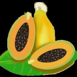 吃瓜贴纸素材下载安装免费,免费下载安装吃瓜贴纸，轻松打造趣味文章副标题  第2张